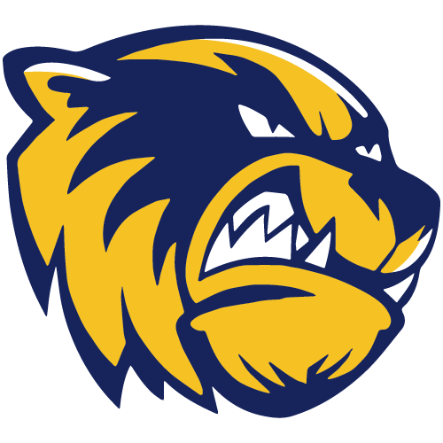 Bellevue Boys Basketball